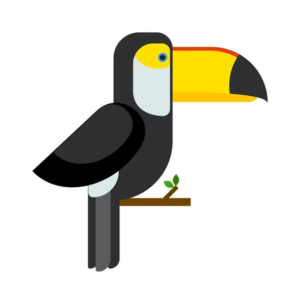 Tukan ramphastos toco sitzt auf Ast und tropischen wilden bunten Vogel flachen Vektor. — Stockvektor