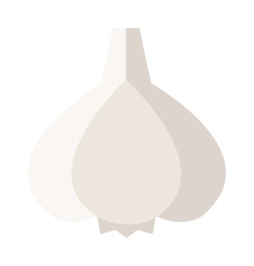 sarımsak vektör çizim.