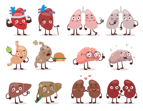Human organs characters vector illustration. — Stock Vector