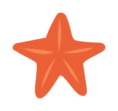 Deniz yıldızı vektör çizim.