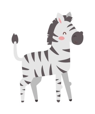 Zebra illüstrasyon vektör.