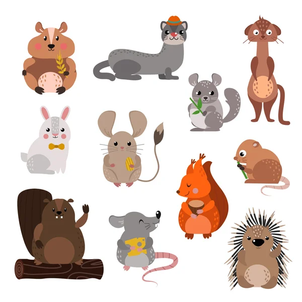 Cartoon rodents animals vector set. — Stock Vector