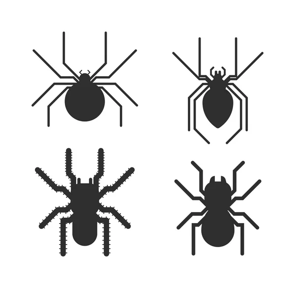 Vector poisonous spiders. — Stockový vektor