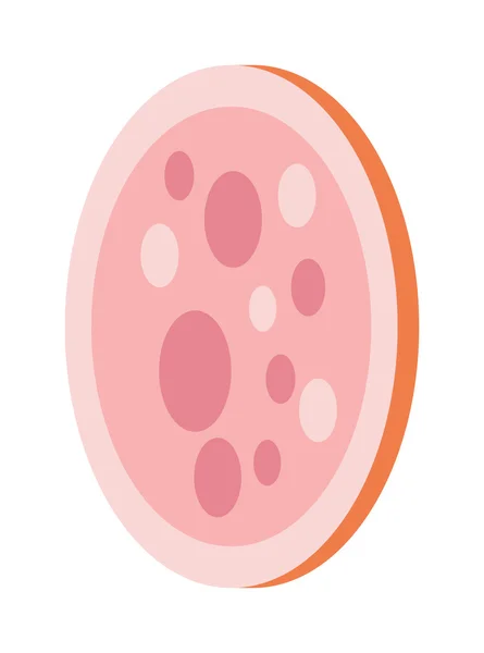 Illustrazione vettoriale fetta di salame . — Vettoriale Stock