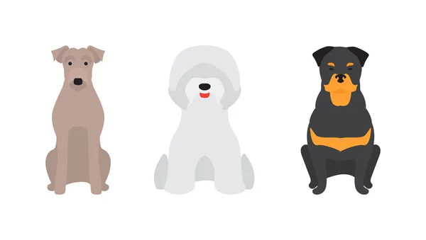 Ilustración vectorial de diferentes razas de perros — Archivo Imágenes Vectoriales