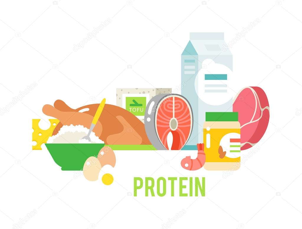 Proteins food vector illustration. Stock Vector Image by ©adekvat #113838566