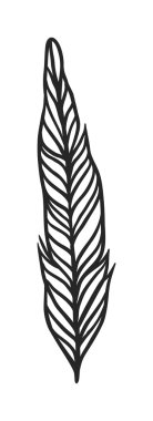 Decorative black feather vector.