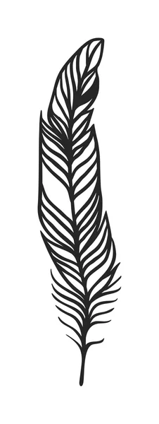 Decorative black feather vector. — 스톡 벡터
