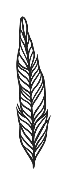 Декоративный вектор чёрного пера . — стоковый вектор