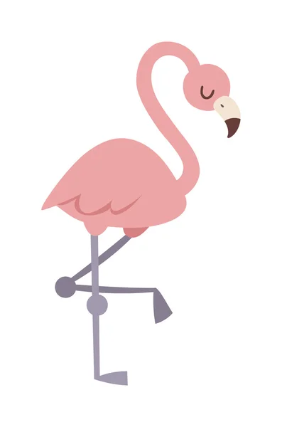Cool rosa flamingo vektor illustration. — Stock vektor