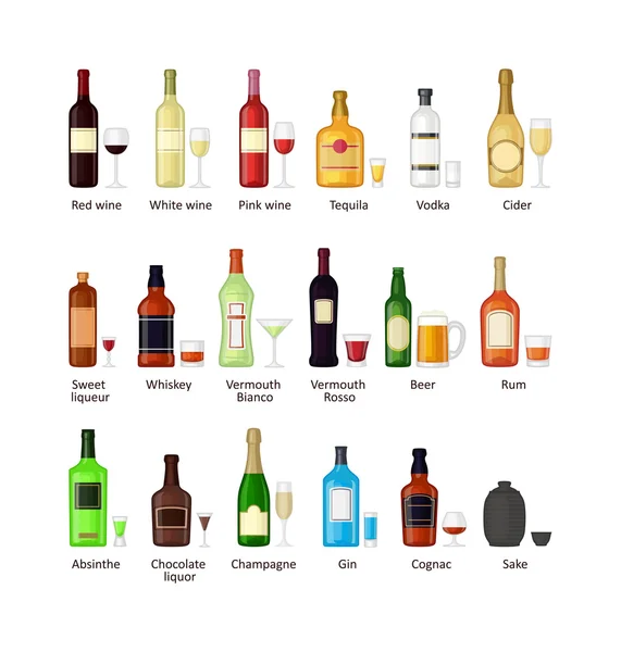 Набор различных бутылок алкогольных напитков — стоковый вектор