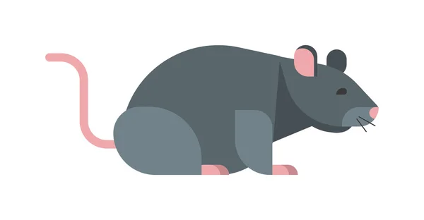 Rat muis vector illustratie. — Stockvector