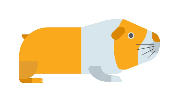 Cavia vector illustratie. — Stockvector