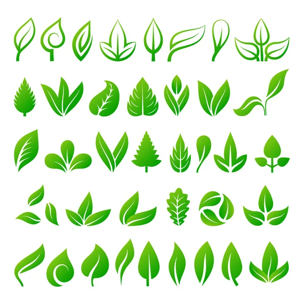 Leaf ikoner vektor illustration. — Stock vektor