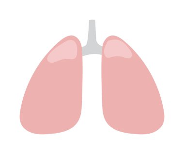 akciğer simgesi vektör illüstrasyonu.