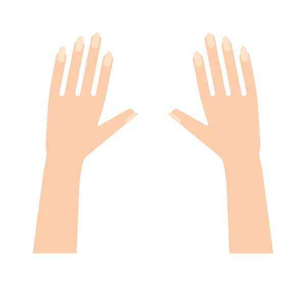 Mänskliga händer vektor illustration. — Stock vektor