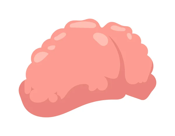 Illustrazione del vettore del cervello umano. — Vettoriale Stock