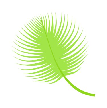 Palmiye yaprağı vektör çizim.
