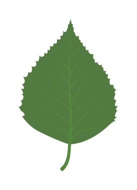 Yaprak ikonu vektör illüstrasyonu.