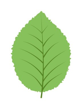 Yaprak ikonu vektör illüstrasyonu.