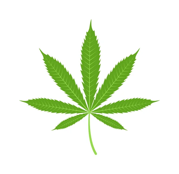 Marihuana marihuana hoja icono vector ilustración. — Vector de stock