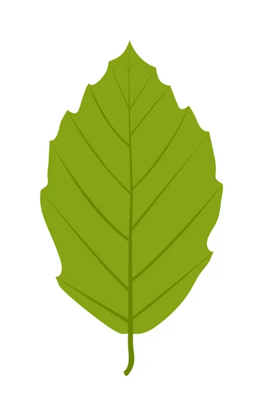 Icono de la hoja vector ilustración. — Vector de stock