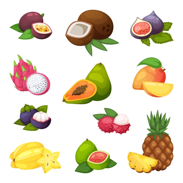 Conjunto de vectores de frutas tropicales . — Vector de stock