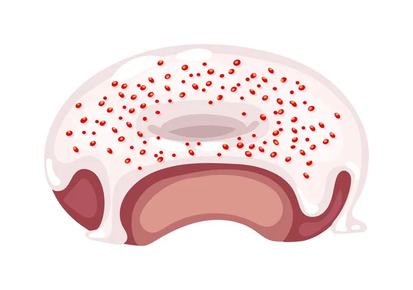 Donuts vetor isolado — Vetor de Stock