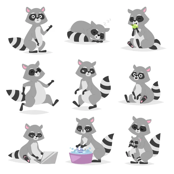 Cartoon raccoon vector illustration. — Stock Vector