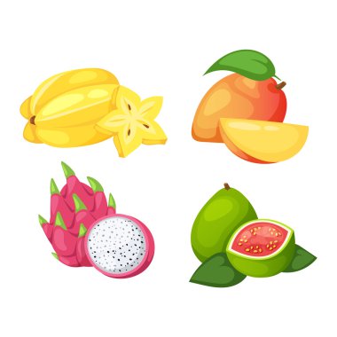 Tropikal meyve vektör set.