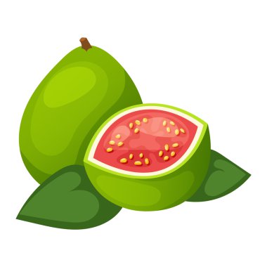 Mango meyve vektör çizim