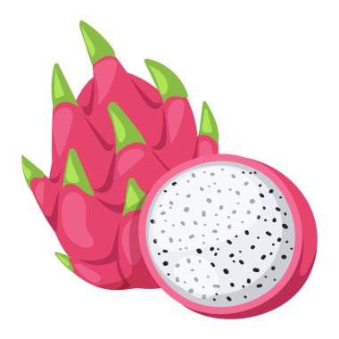 Pitaya ya da ejderha meyve vektör çizim.