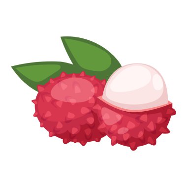 Taze lychees vektör