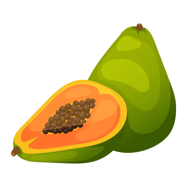 Papaya Fruchtvektor Illustration. — Stockvektor