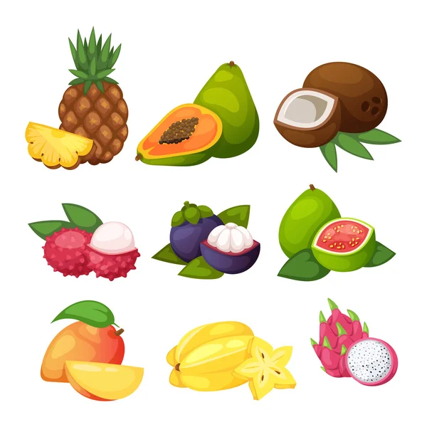 Conjunto de vectores de frutas tropicales . — Vector de stock