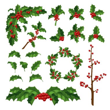 Noel berry dekorasyon vektör set.