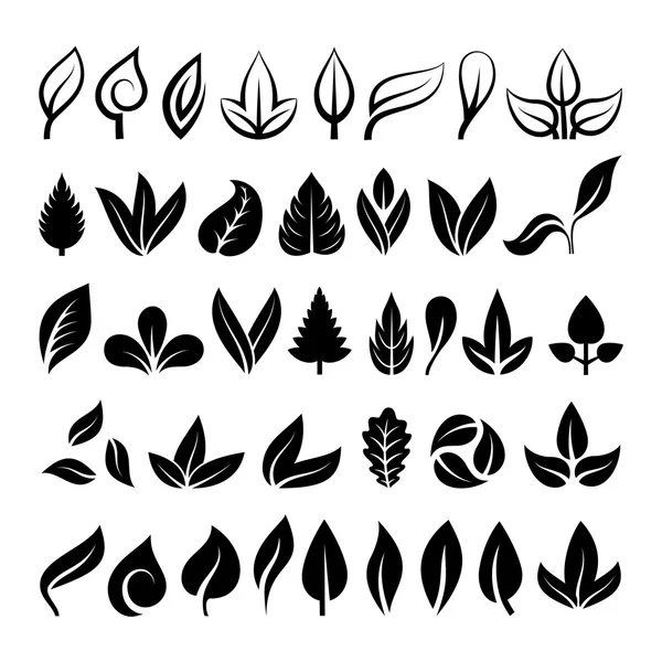 Leaf icon vector illustration. — Stock Vector