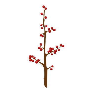 Noel berry vektör çizim.