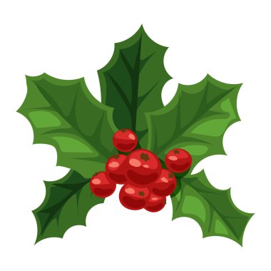 Noel berry vektör çizim.