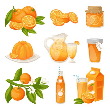 Portakal ürünleri vektör seti.