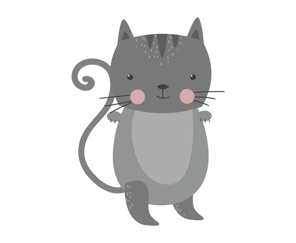Милий пухнастий кіт тварин вектор . — стоковий вектор