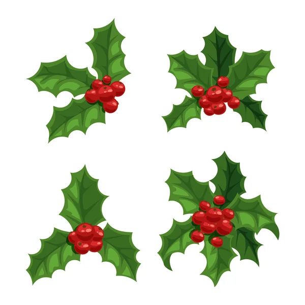 Christmas berry decoration vector set. — Stock Vector