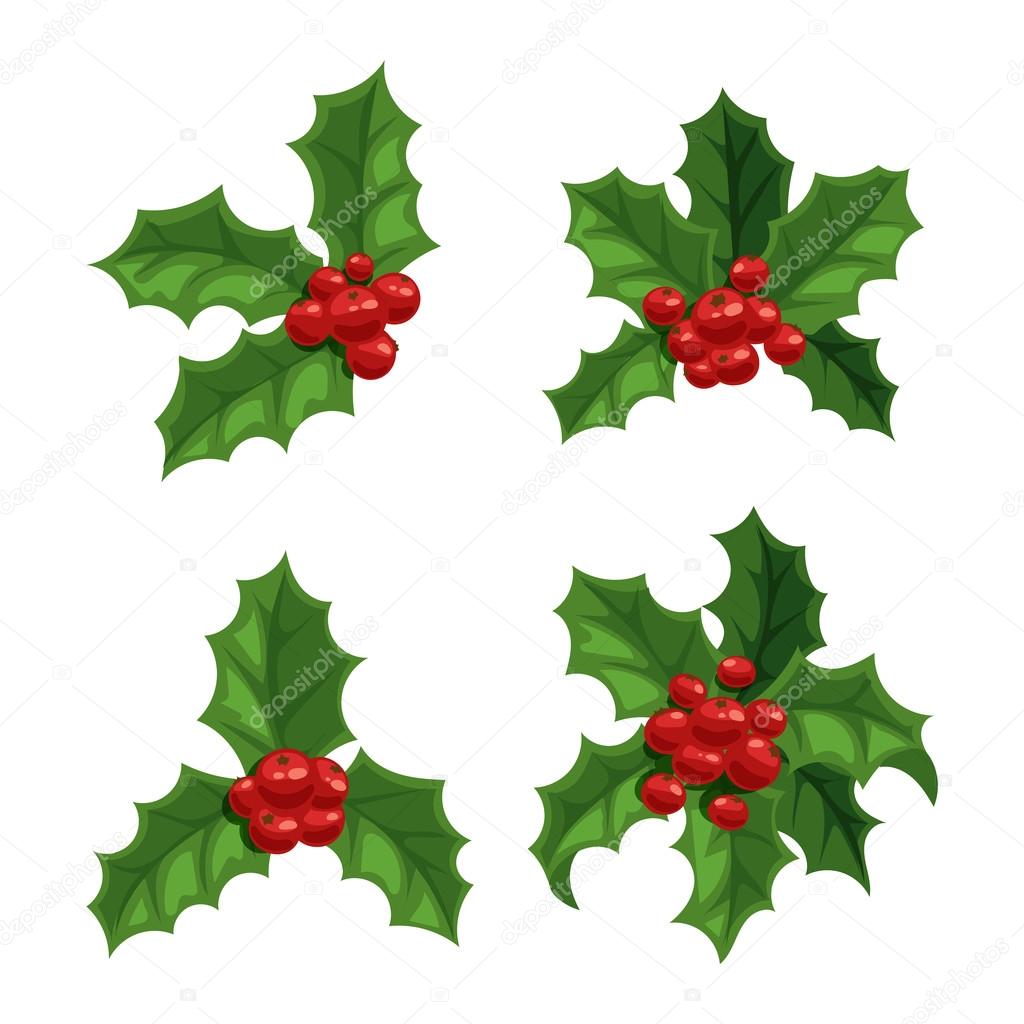 Christmas berries 2024