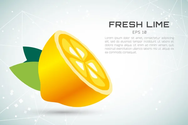 Fetta di lime o limone. Design modello icona logo succo di limonata — Vettoriale Stock