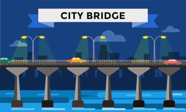 Modern bridge vector illustration city night view