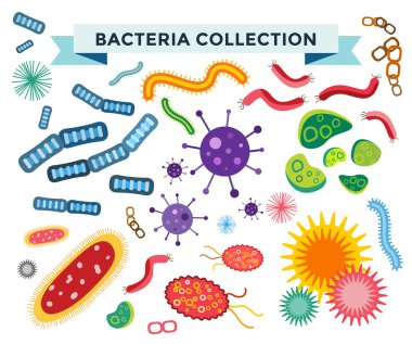 Bacteria virus vector icons set