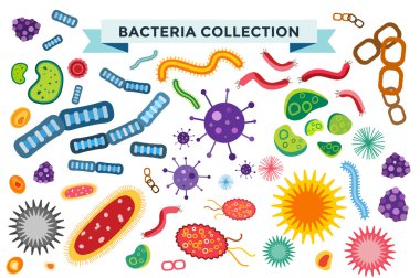 Bacteria virus vector icons set