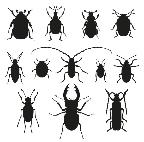 Kolorowe owady biologii kolekcja — Wektor stockowy