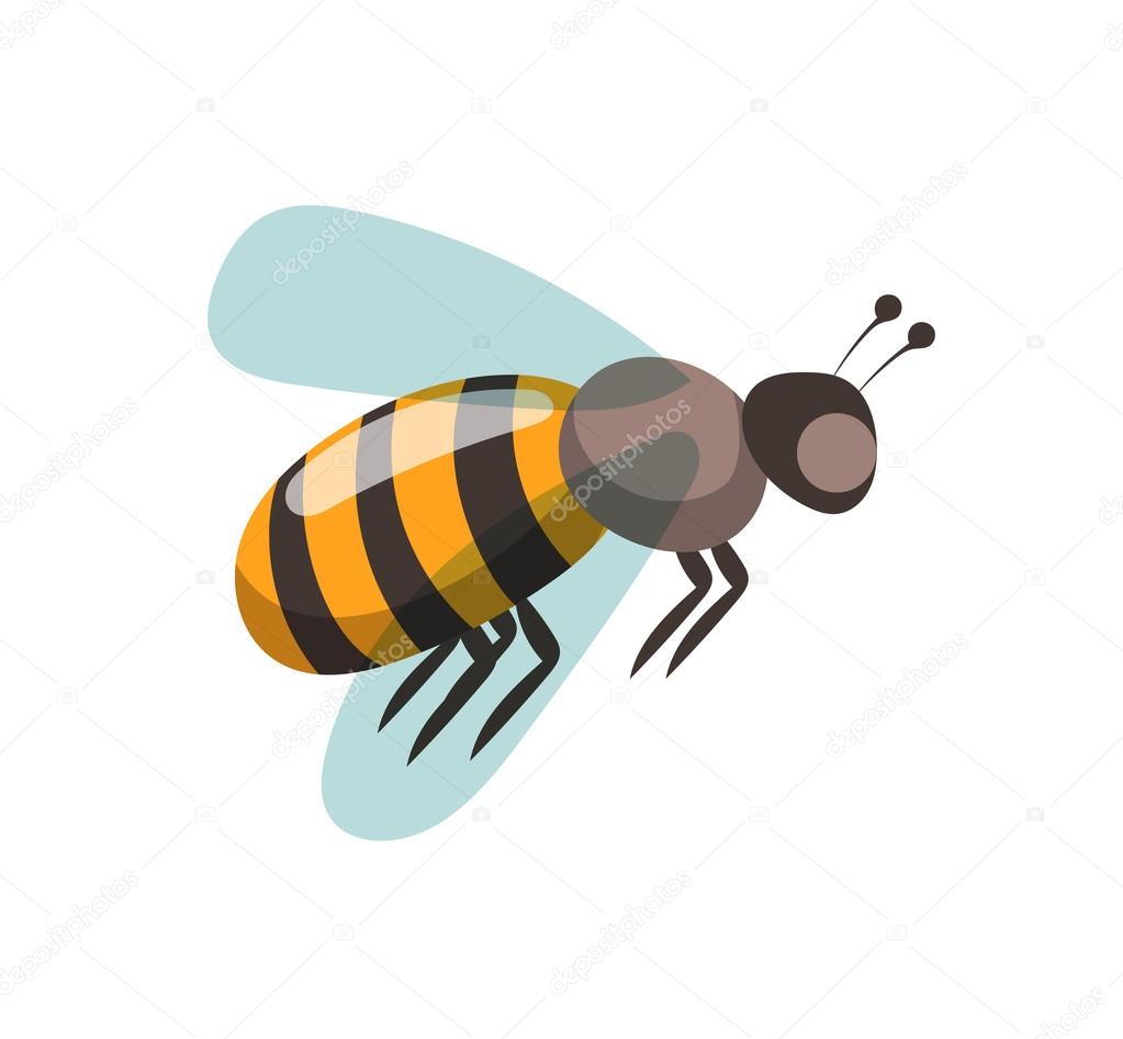 Bee cartoon style vector illustrations