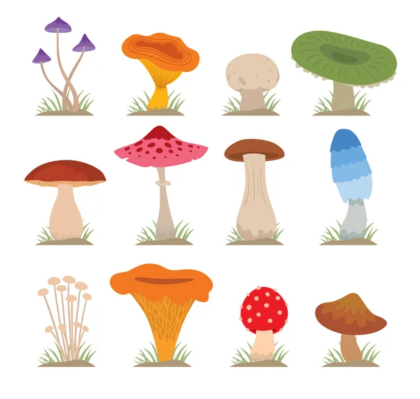 Conjunto de ilustrações vetoriais de cogumelos —  Vetores de Stock